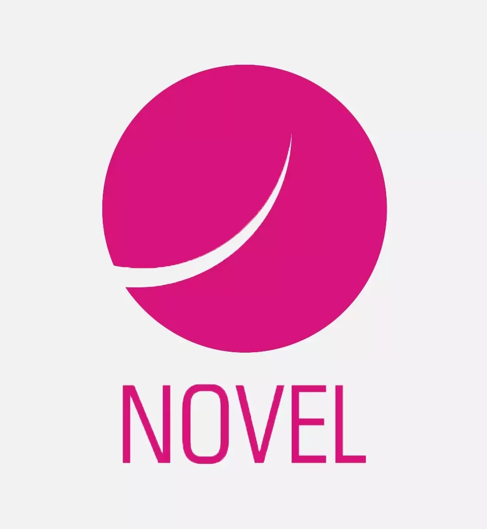 NOVEL